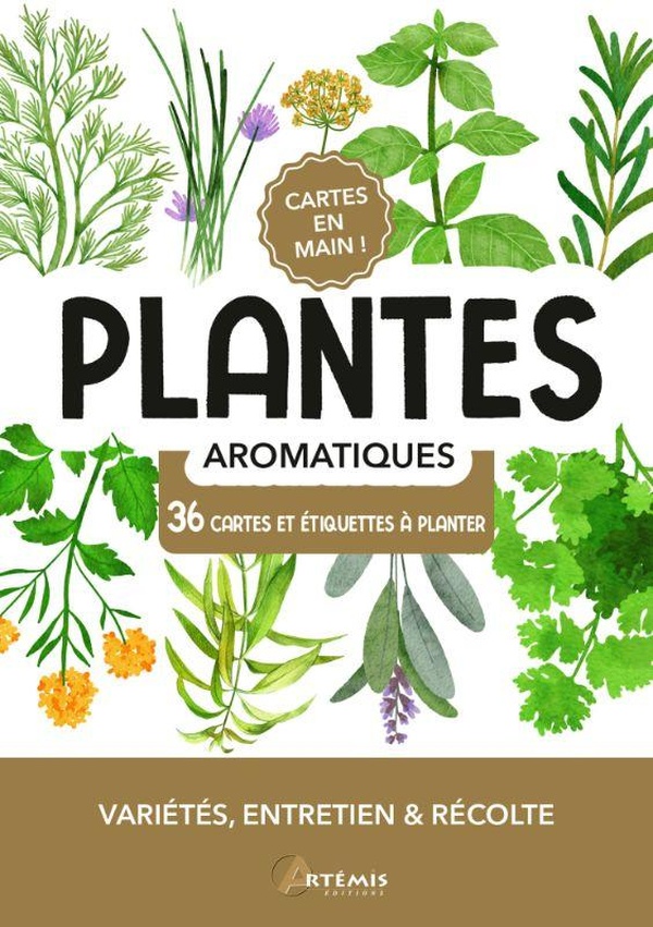 PLANTES AROMATIQUES