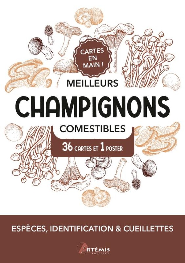 MEILLEURS CHAMPIGNONS COMESTIBLES