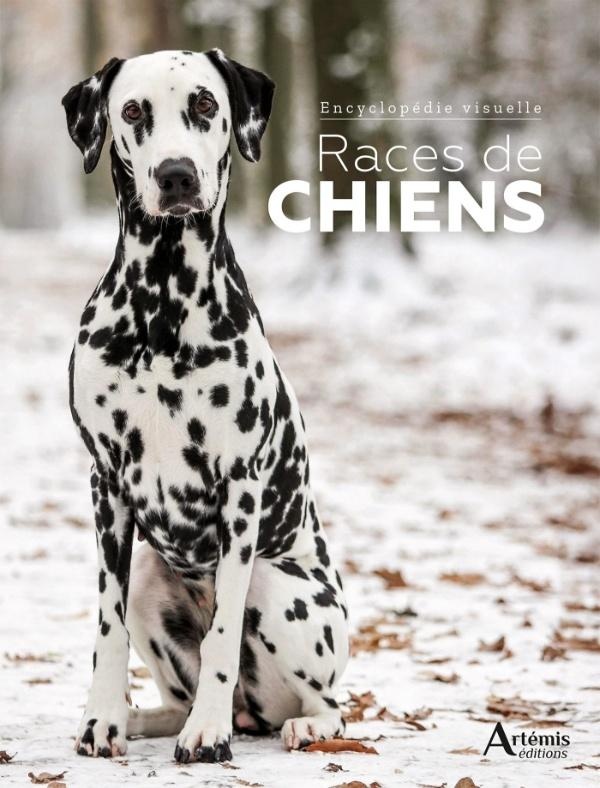 RACES DE CHIENS