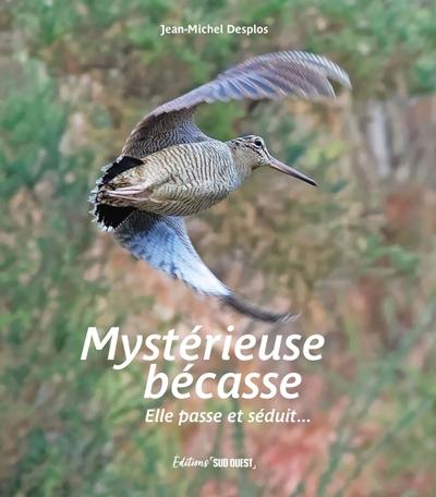 MYSTERIEUSE BECASSE. ELLE PASSE ET SEDUIT