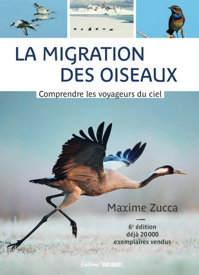 LA MIGRATION DES OISEAUX - COMPRENDRE LES VOYAGEURS DU CIEL - NOUVELLE EDITION