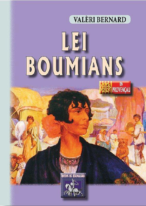 LEI BOUMIANS