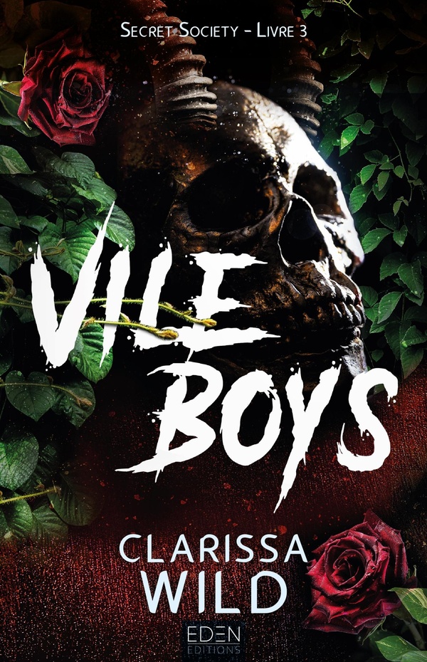 SECRET SOCIETY T3 - VILE BOYS
