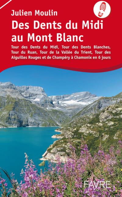 DES DENTS DU MIDI AU MONT BLANC