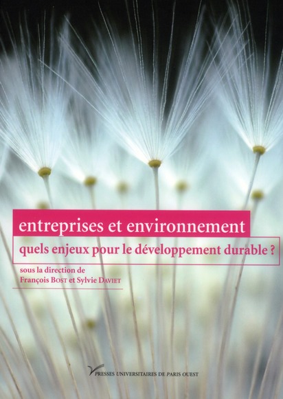 ENTREPRISES ET ENVIRONNEMENT, QUELS ENJEUX POUR LE DEVELOPPEMENT DURABLE ?