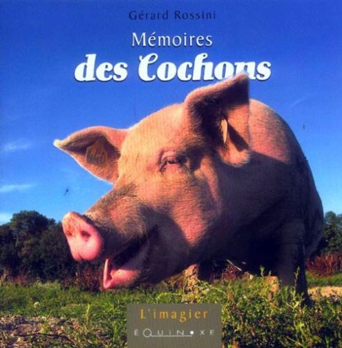 MEMOIRES DES COCHONS