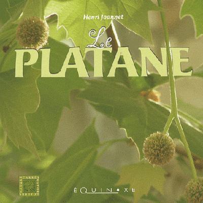 PLATANE (LE)