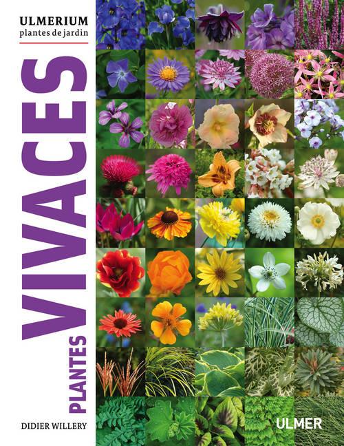 PLANTES VIVACES