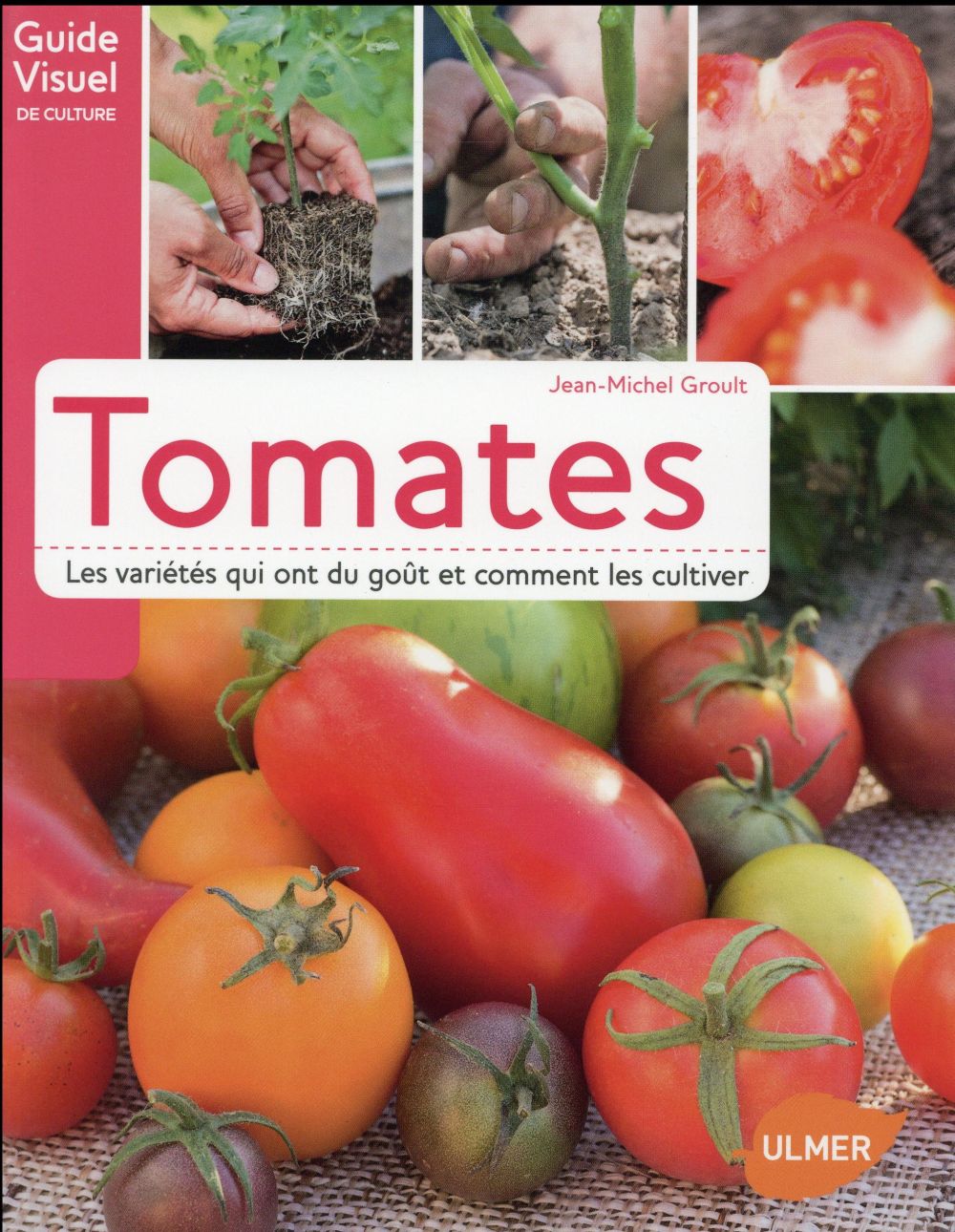 TOMATES. LES VARIETES QUI ONT DU GOUT ET COMMENT LES CULTIVER