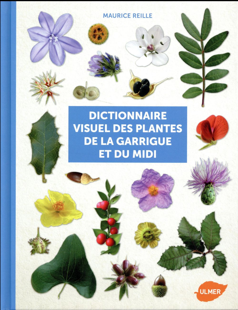 DICTIONNAIRE VISUEL DES PLANTES DE LA GARRIGUE ET