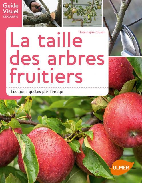 LA TAILLE SIMPLE DES FRUITIERS - LES BONS GESTES PAR L'IMAGE