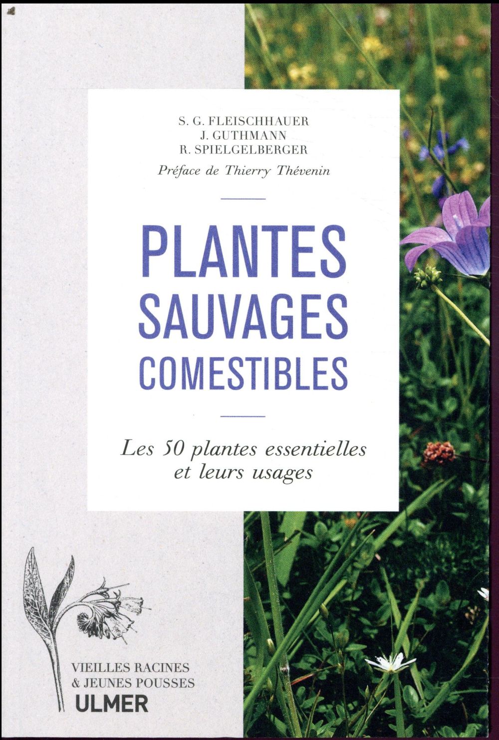 PLANTES SAUVAGES COMESTIBLES