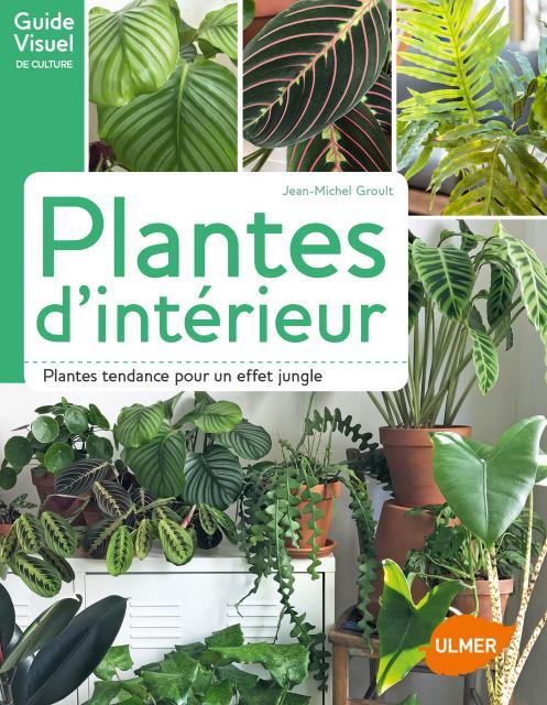 PLANTES D'INTERIEUR