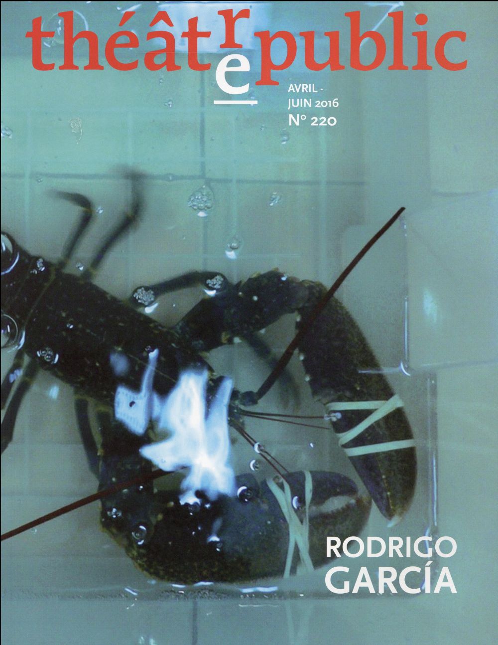 THEATRE PUBLIC N220 - RODRIGO GARCIA