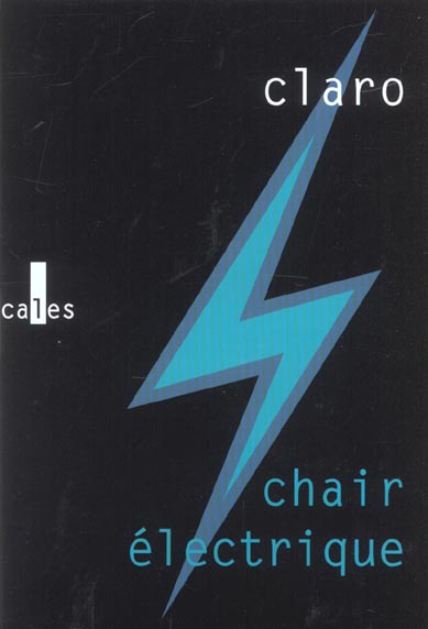 CHAIR ELECTRIQUE