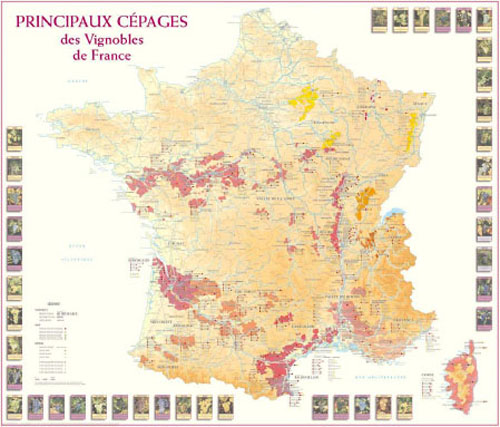 PRINCIPAUX CEPAGES VIGNOBLES DE FRANCE