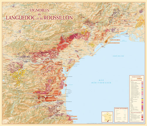 VIGNOBLE LANGUEDOC ROUSSILLON 77 CM X 66 CM