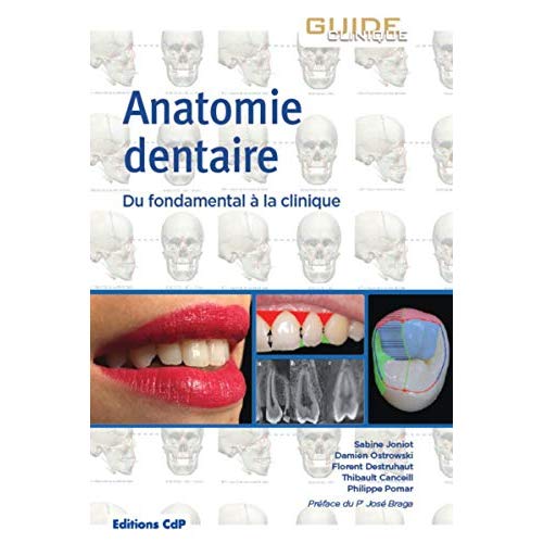 ANATOMIE DENTAIRE - DU FONDAMENTAL A LA CLINIQUE. PREFACE DU PR JOSE BRAGA