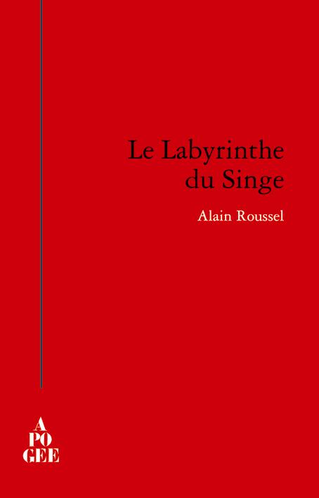 LE LABYRINTHE DU SINGE