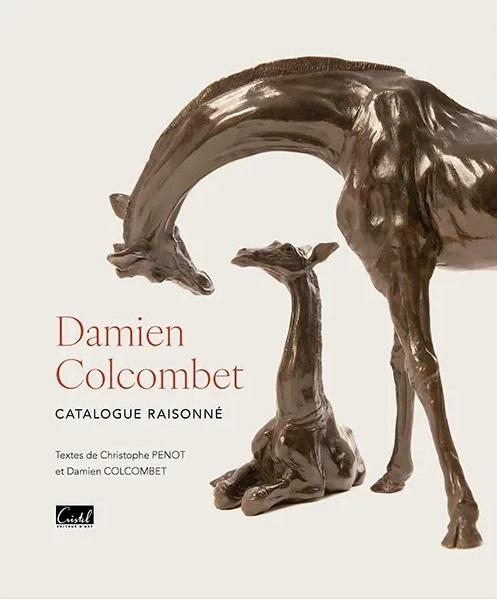 DAMIEN COLCOMBET