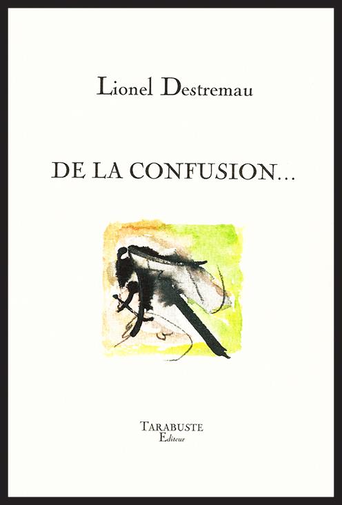 DE LA CONFUSION... - LIONEL DESTREMAU