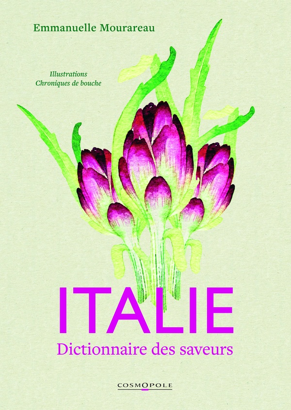 ITALIE DICTIONNAIRE DES SAVEURS - ILLUSTRATIONS, COULEUR