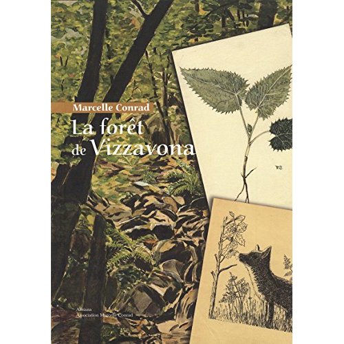 LA FORET DE VIZZAVONA