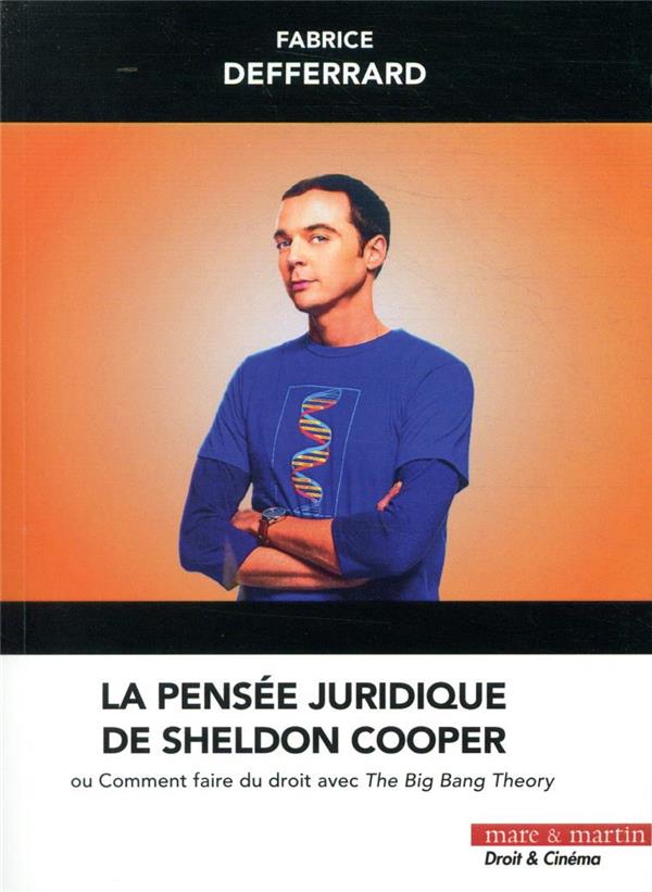 LA PENSEE JURIDIQUE DE SHELDON COOPER - OU COMMENT FAIRE DU DROIT AVEC THE BIG BANG THEORY