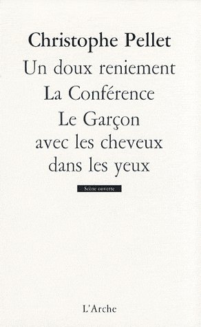UN DOUX RENIEMENT / LA CONFERENCE / LE GARCON AVEC LES CHEVEUX DANS LES YEUX
