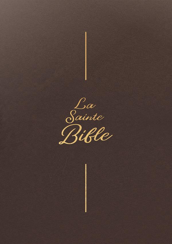 LA SAINTE BIBLE SEGOND 1910 - BRUN, VINYLE, SOUPLE, GROS CARACTERES