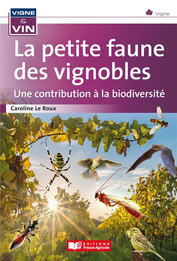 LA PETITE FAUNE DES VIGNOBLES, UNE CONTRIBUTION A LA BIODIVERSITE
