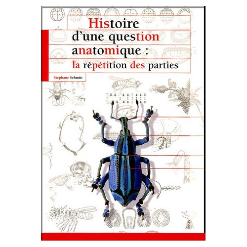 HISTOIRE D'UNE QUESTION ANATOMIQUE LA REPETITION DES PARTIES