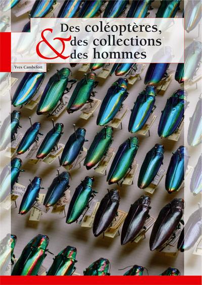 DES COLEOPTERES  DES COLLECTIONS ET DES HOMMES
