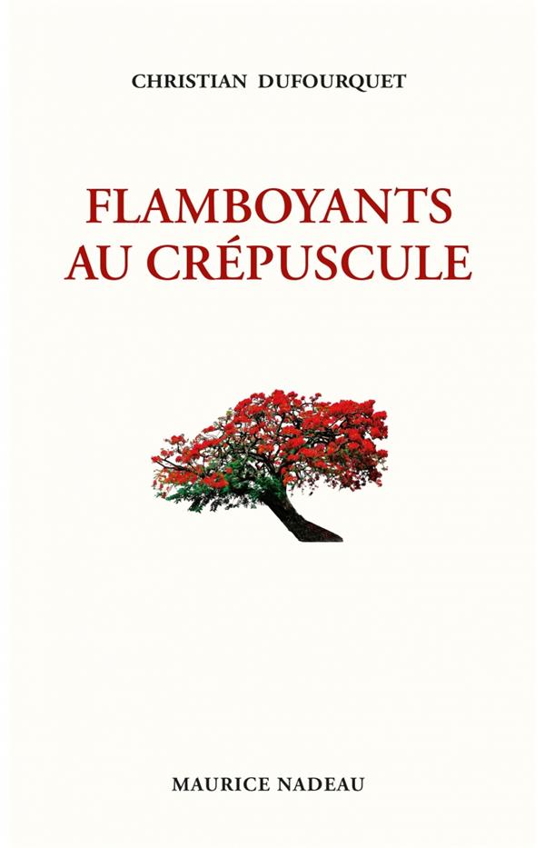 FLAMBOYANTS AU CREPUSCULE