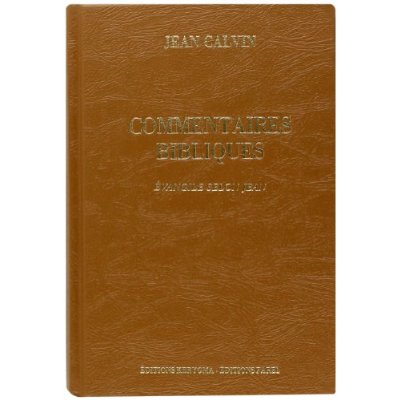 COMMENTAIRES BIBLIQUES. EVANGILE SELON JEAN