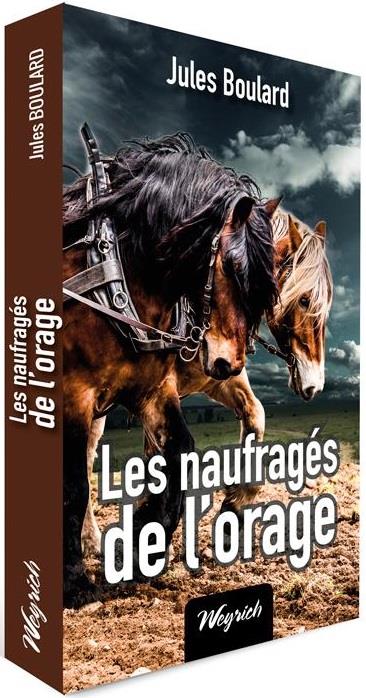 LES NAUFRAGES DE L'ORAGE