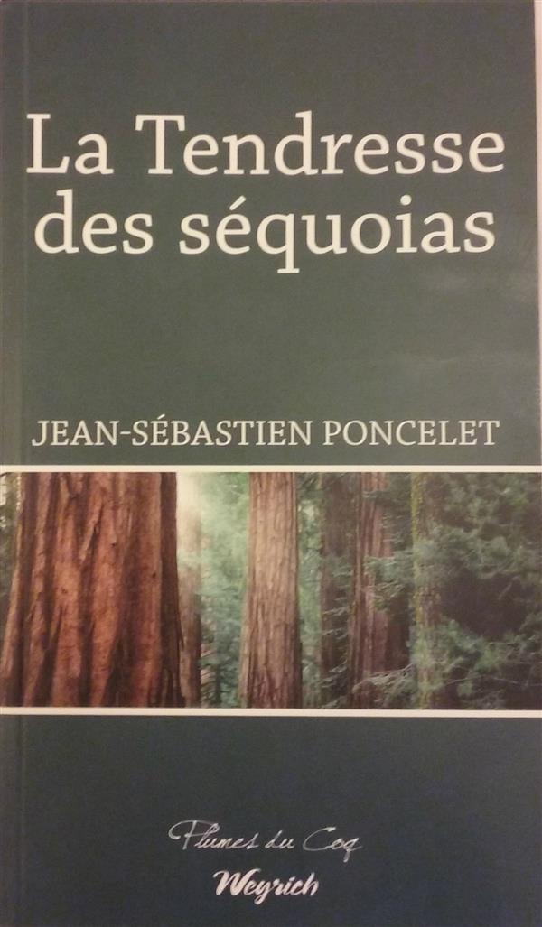 LA TENDRESSE DES SEQUOIAS