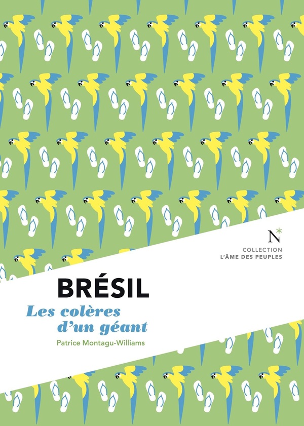 BRESIL LES COLERES D'UN GEANT