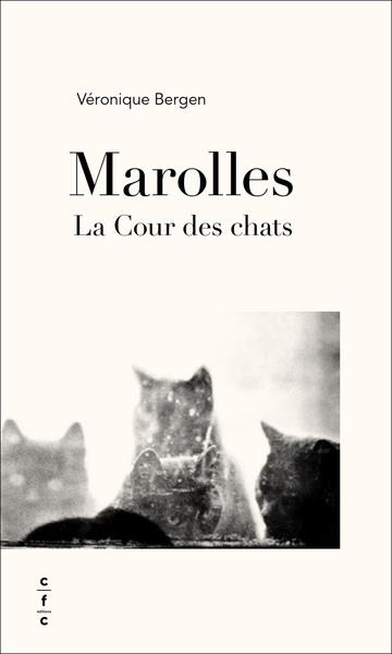 MAROLLES. LA COUR DES CHATS