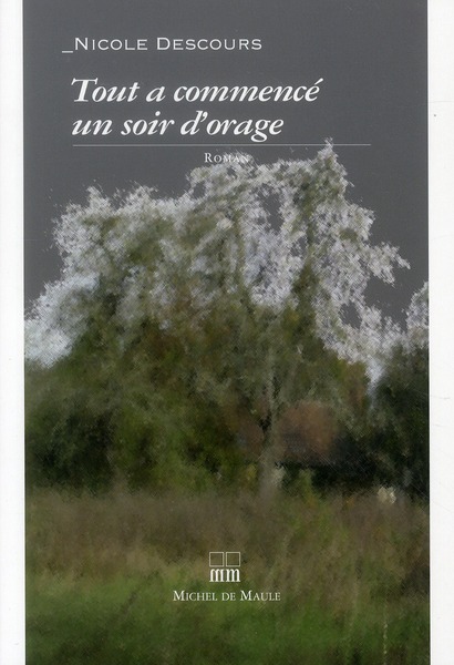 TOUT A COMMENCE UN SOIR D'ORAGE ROMAN