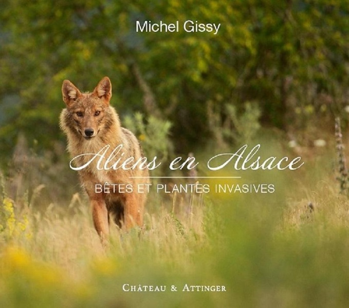 ALIENS EN ALSACE - BETES ET PLANTES INVASIVES