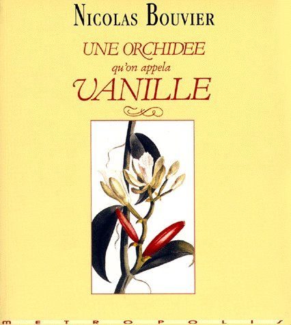 UNE ORCHIDEE QU'ON APPELA VANILLE