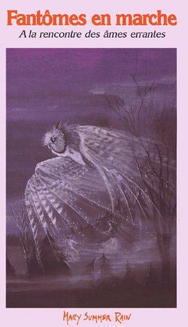 PLUIE D'ETE - T04 - FANTOMES EN MARCHE - A LA RENCONTRE ET AU SECOURS DES AMES ERRANTES