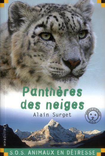 PANTHERES DES NEIGES
