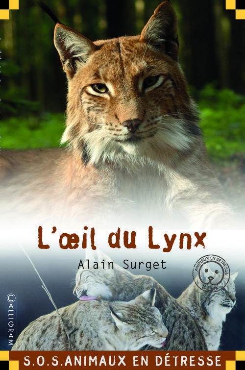 L'OEIL DU LYNX