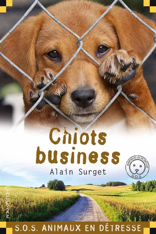 CHIOTS BUSINESS