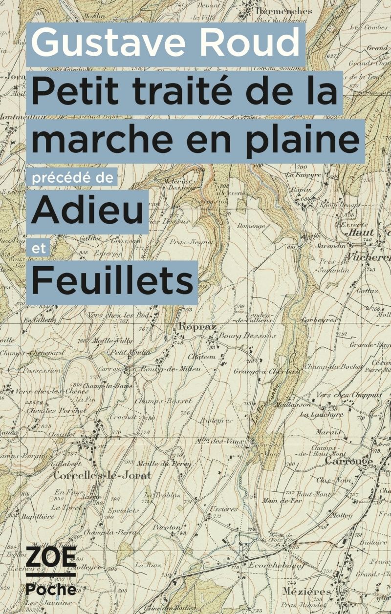 PETIT TRAITE DE LA MARCHE EN PLAINE PRECEDE DE ADIEU ET FEUILLETS