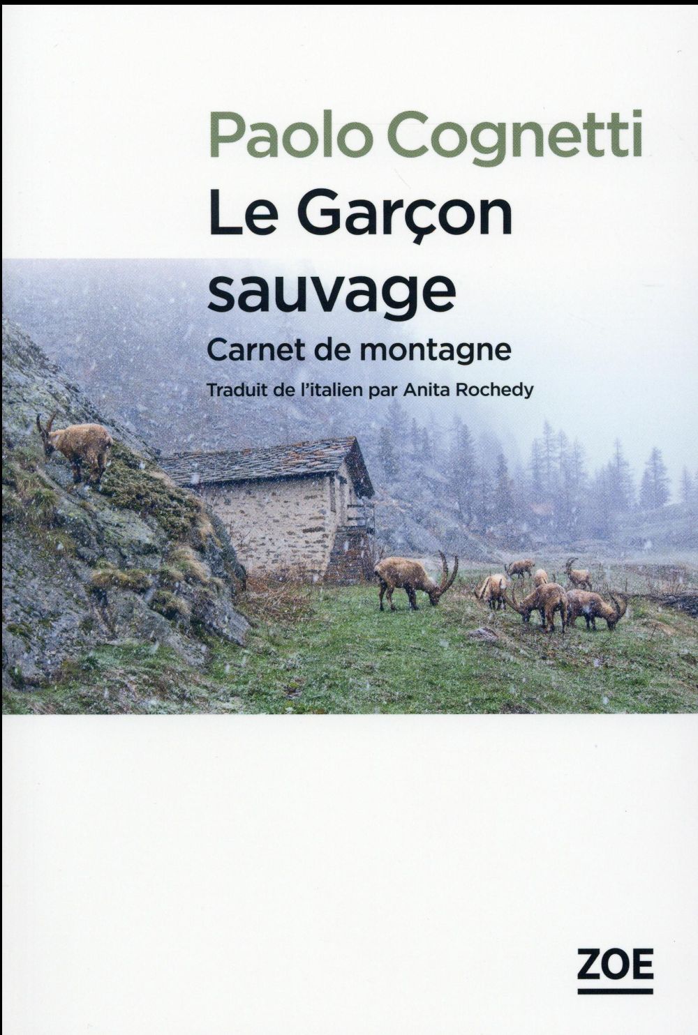 LE GARCON SAUVAGE