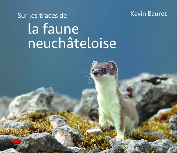 DANS L'OMBRE DES FORETS NEUCHATELOISES