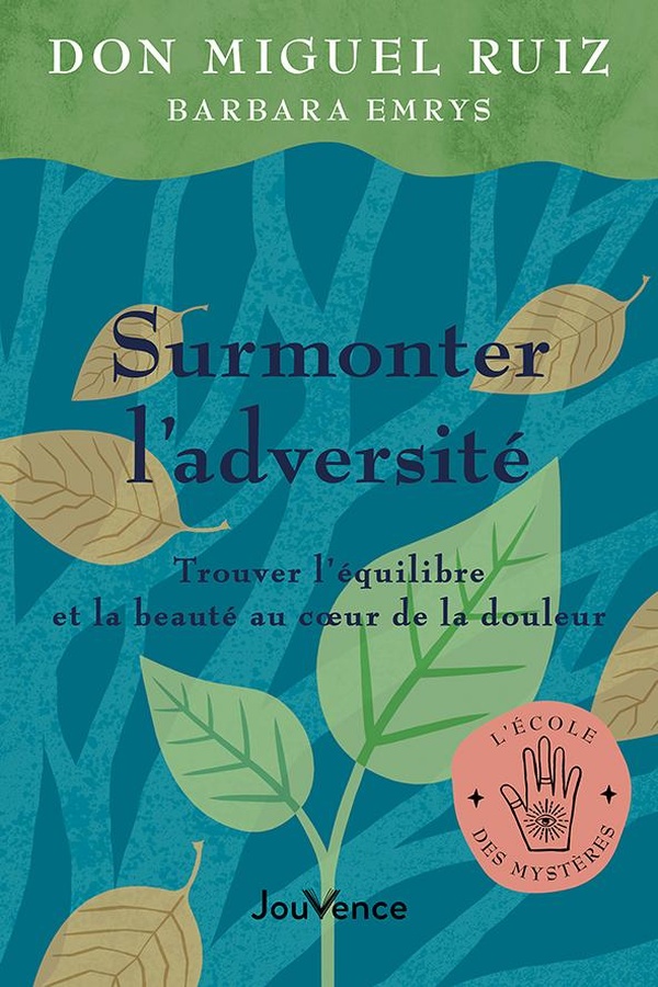 SURMONTER L'ADVERSITE - TROUVER L'EQUILIBRE ET LA BEAUTE AU COEUR DE LA DOULEUR